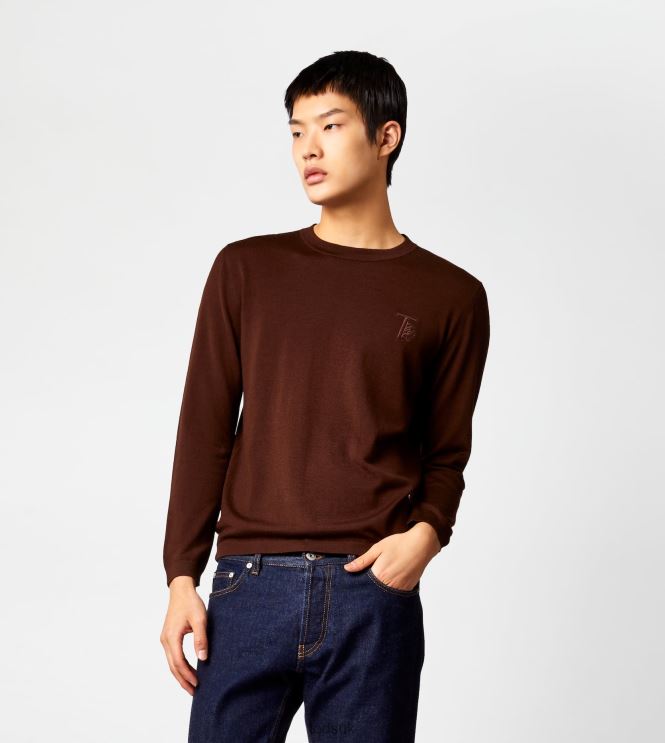 Tod's Men Cashmere Blend Round Neck Jumper 602L841103 Brown
