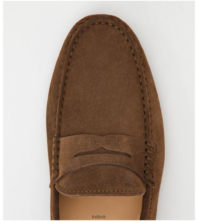 Tod's Men Gommino Driving Shoes in Suede 602L84732 Brown