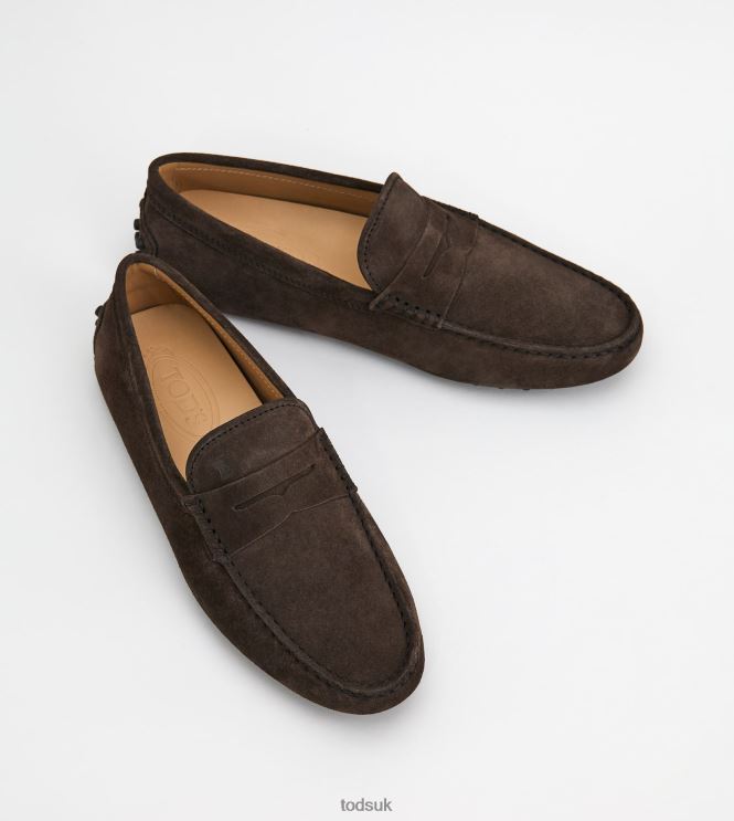 Tod's Men Gommino Driving Shoes in Suede 602L84734 Brown