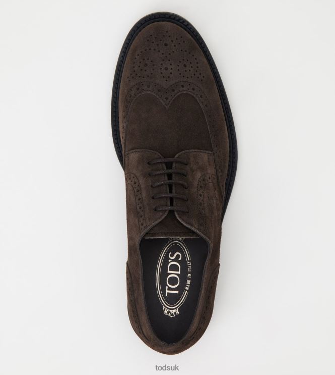 Tod's Men Lace-ups in Suede 602L84819 Brown
