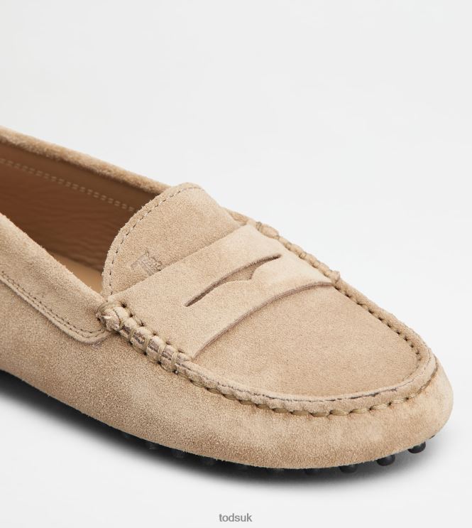 Tod's Women Junior Gommino Driving Shoes in Suede 602L84639 Brown