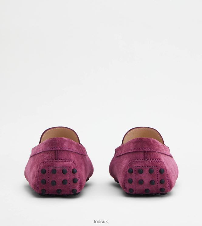 Tod's Women Gommino Driving Shoes in Suede 602L84102 Violet