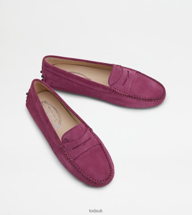 Tod's Women Gommino Driving Shoes in Suede 602L84102 Violet