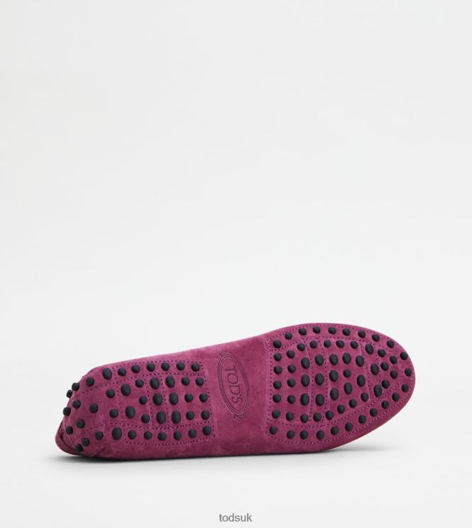 Tod's Women Gommino Driving Shoes in Suede 602L84102 Violet