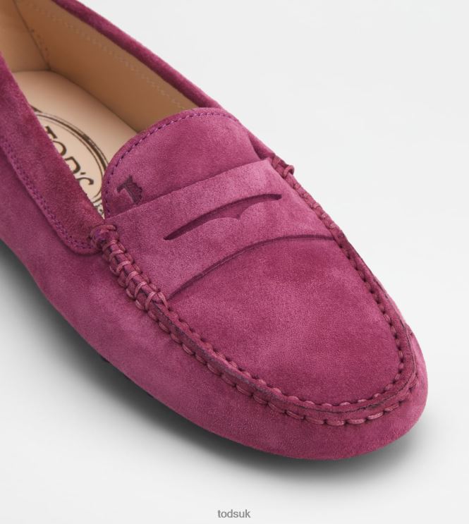 Tod's Women Gommino Driving Shoes in Suede 602L84102 Violet