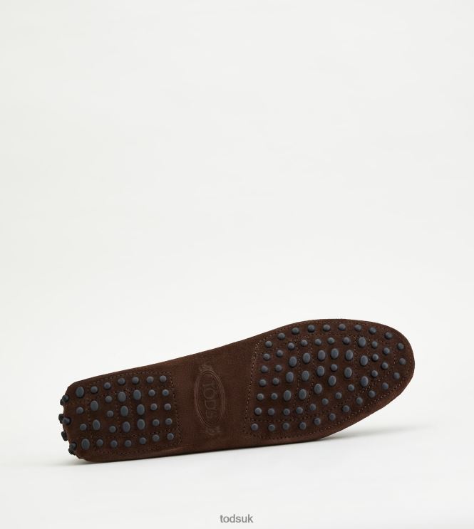 Tod's Women Gommino Driving Shoes in Suede 602L84105 Brown