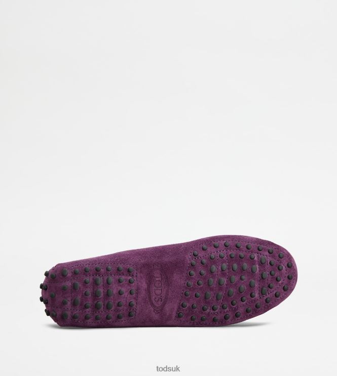 Tod's Women Gommino Driving Shoes in Suede 602L84112 Violet
